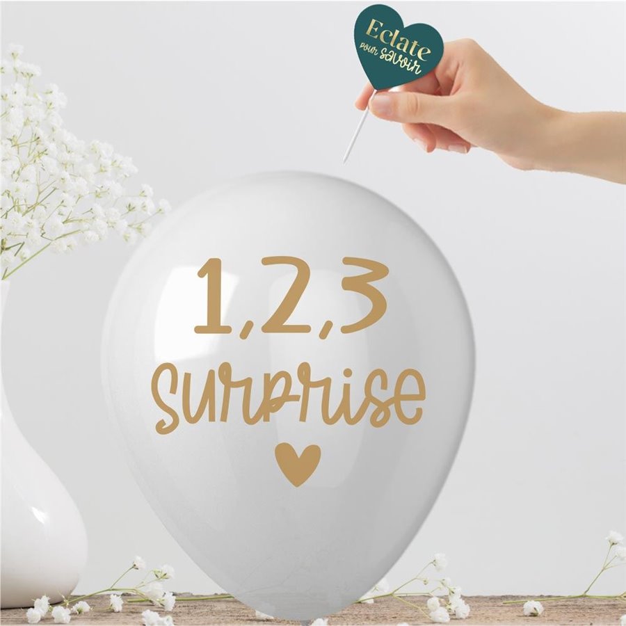 CARTE BALLON ANNONCE "FRERE/SOEUR"